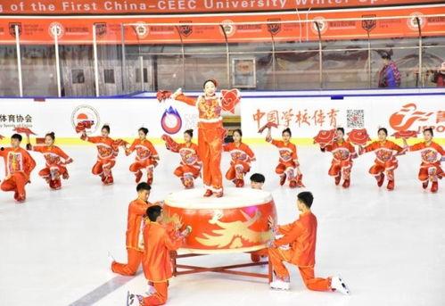 冰上舞蹈视频在线观看,跟随在线视频领略舞蹈之美  第3张