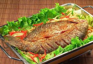 石家庄烤鱼爆料视频曝光,揭秘网红爆火背后的美味传奇  第1张